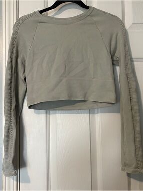 Aerie Cropped Ribbed Long Sleeve